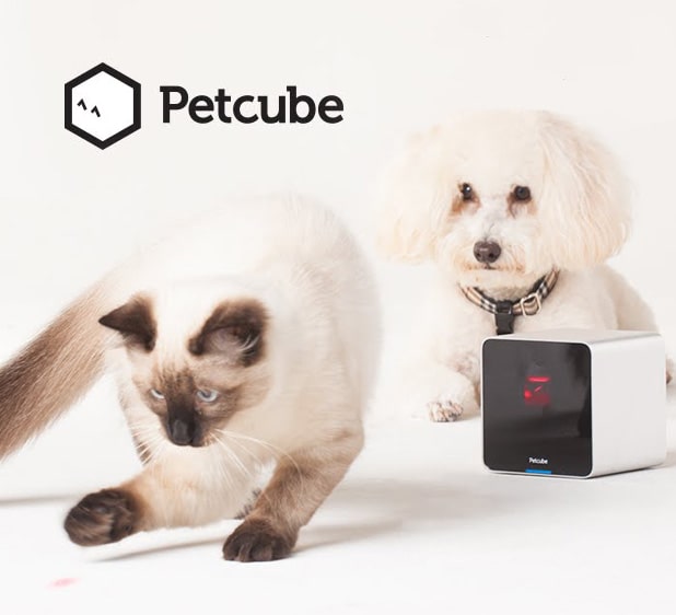 Petcube