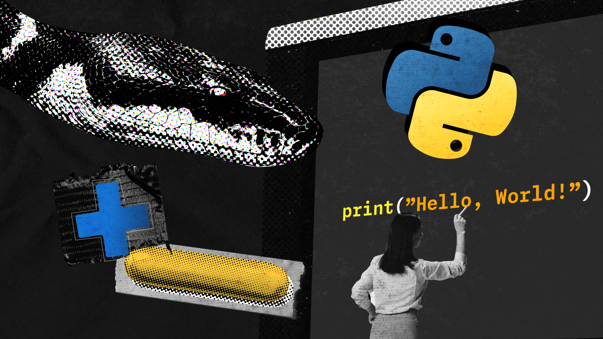 Die Vor- und Nachteile der Programmiersprache Python